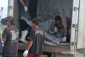 Biak fokuskan dana desa 2025 untuk enam prioritas