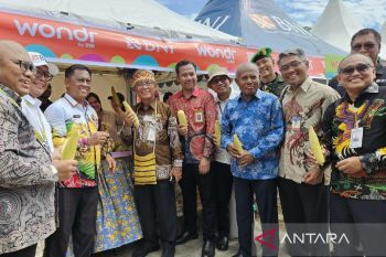 Pj Gubernur Papua sebut penggunaan noken ASN tingkatkan produksi