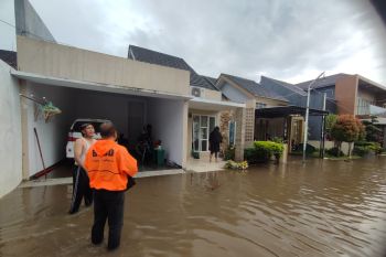 BPBD Jember: 479 KK terdampak banjir di empat kecamatan