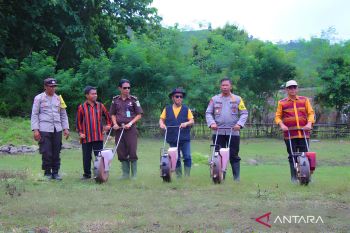 Wabup Dompu hadiri penanaman jagung serentak 1 Juta hektare