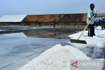 Produksi garam rakyat di Sumenep naik 17 ribu ton