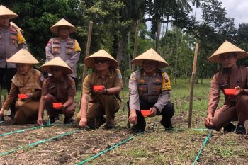 Polres Pasaman Barat berkolaborasi bersama empat dinas jaga ketahanan pangan