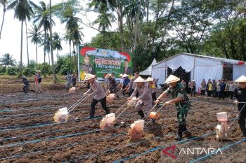 Polda Sulut tanam jagung  di lahan 105,7 ha dukung ketahanan pangan