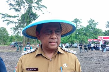 Pemkab Jayapura: Pembukaan lahan jagung mendorong ekonomi masyarakat