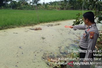 Tiga hari hilang, seorang wanita di Meranti ditemukan tak bernyawa di sawah