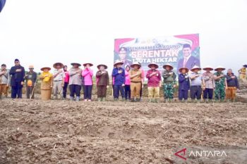 Polres Padang Panjang tanam sejuta hektare jagung