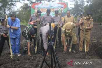 Polres-Pemkab Jayawijaya tanam jagung dua hektare perkuat pangan