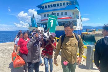 BKSDA Maluku sita tanduk rusa di Pelabuhan Hunimua