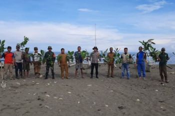 TNI tanam ketapang mencegah abrasi di Pasangkayu