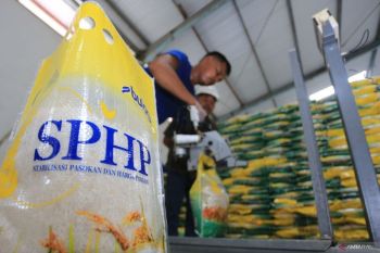 Indonesia loses Rp2 trillion annually in rice subsidy fraud: minister