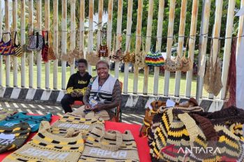 Diskominfo dukung peningkatan digitalisasi UMKM Papua