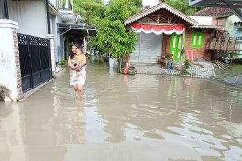 Enam desa di Bojonegoro terdampak banjir luapan Sungai Bengawan Solo