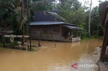 BPBD: Banjir di Bengkayang meluas di wilayah perbatasan