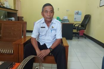 Cegah PMK, Vaksinasi ternak sapi gencar di Lombok Timur