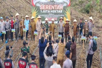 Pemkab Murung Raya siapkan 20 hektare jadi lokasi tanam jagung