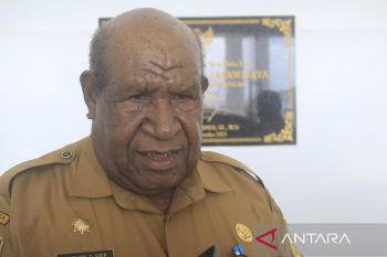 Pemprov minta masyarakat Papua Pegunungan tingkatkan hasil pertanian