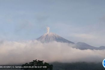 Letusan Gunung Semeru hari ini capai 400 meter di atas puncak