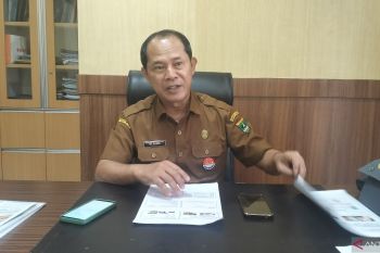 Dinas Peternakan Sumbar: Sapi yang terpapar PMK aman dikonsumsi