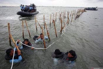 Trenggono: Pembongkaran pagar laut Tangerang telah capai 5 km