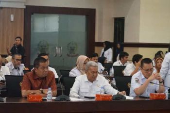 Pemkab Sidrap siap sukseskan program pengembangan sapi perah