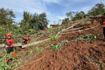 Tanah longsor di Jombang, korban masih dalam pencarian