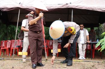 Penanaman jagung buka lapangan kerja baru di Agam