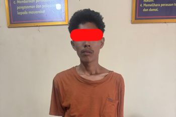 Jual Sabu-Sabu kepada Polisi, Terduga Pengedar di Pesisir Selatan Ditangkap