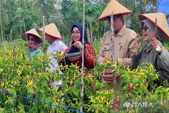 Wabup Kotim ingatkan alokasi 20 persen dana desa untuk ketahanan pangan