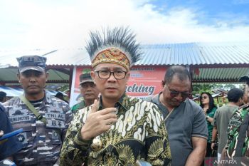 Pemkab ajak warga Mimika manfaatkan lahan kosong untuk bercocok tanam