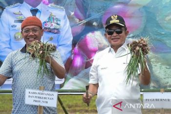 Pj Gubernur ajak petani bawang di NTB tingkatkan inovasi pertanian