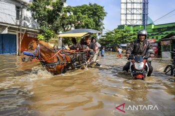 Banjir luapan Sungai Citarum