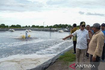 Pj Gubernur ajak milenial di NTB bangun usaha kelautan dan perikanan