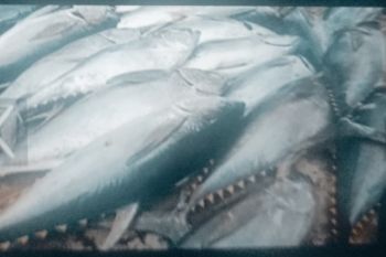 BUMDes Biak berpeluang pasok menu Makan Bergizi Gratis anak