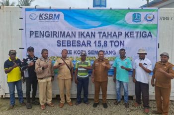 Nelayan Kalamo Samber-Binyeri Biak kirim 15,8 ton ikan segar ke Pulau Jawa