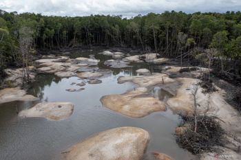 Illegal mining in Bangka Belitung costs state Rp300 trillion: Prabowo