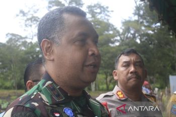 Kodim 1702 Jayawijaya dukung percepatan program pangan nasional