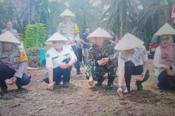Pemkab: Stok bahan pangan di Pasaman Barat mencukupi