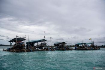 PT Timah akui sulit tertibkan tambang ilegal pasca kasus korupsi