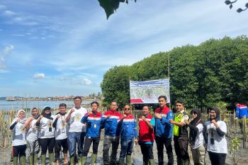 Program Hutan Petrofin, kontribusi Elnusa Petrofin dukung Net Zero Emission (ZEE) 2060