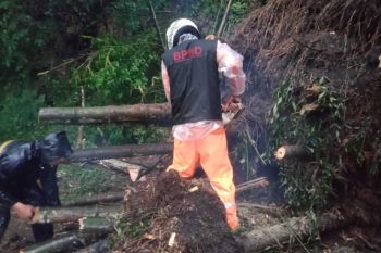 BPBD bersihkan material longsor yang tutup jalur penghubung Malang-Kediri