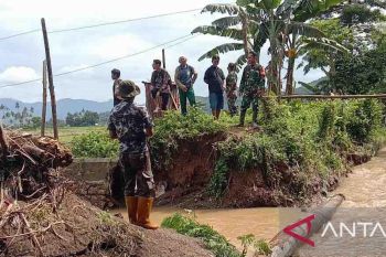 Sebanyak 100 hektare lahan padi di Dompu terancam gagal panen