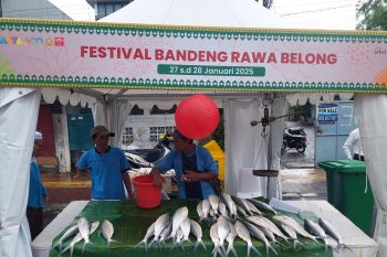 Tradisi berburu bandeng Imlek, simbol hormonis budaya China - Betawi