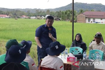 Wakil Ketua Kokisi IV DPR RI Alex Indra Lukman tinjau "sawah bapokok murah"