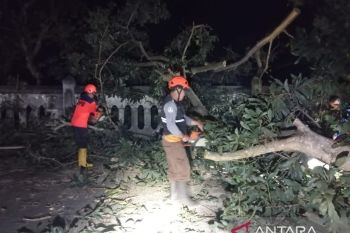 Pohon tumbang akibat angin kencang timpa pagar TMP dan TPU di Sukabumi