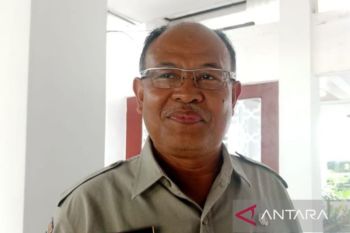 Pemda di NTB diminta tanam pohon untuk rehabilitasi hutan