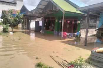 Warga Raya Belanti Tapin masih terisolasi meski banjir surut
