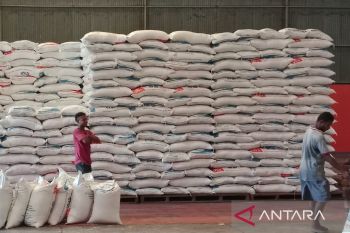 Pemkab Biak pastikan ketersediaan pangan mendukung Asta Cita program MBG