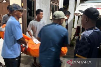Kapendam XVII/Cenderawasih: KKB dilaporkan bunuh warga sipil di Dekai-Papua