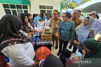 Pj Gubernur Papua minta pemda serius tangani stunting anak