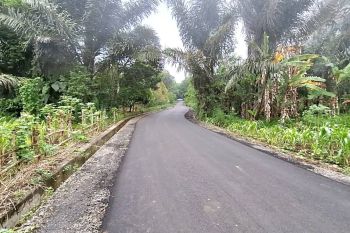 Pembenahan jalan PLTP Mataloko bikin omzet pedagang meningkat